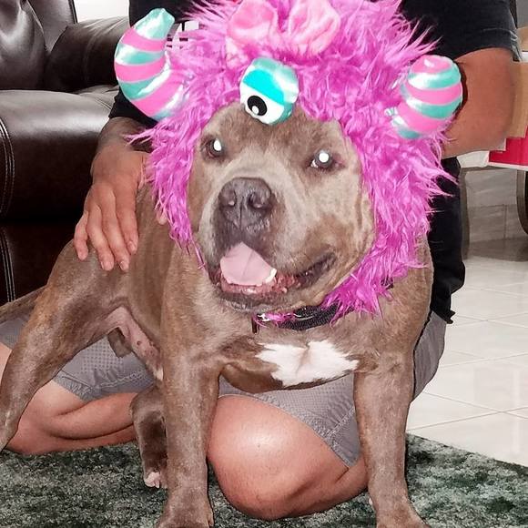 Meet your Posher, Maria - Picture 1 of 1